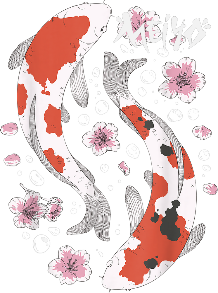 pareja de peces koi japoneses